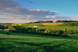 Agriturismo sostenibile: 7 idee per un’accoglienza più green