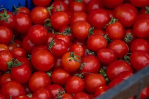 Salmonella nei pomodori freschi: la Puglia li sospende nelle mense, focolai in quattro regioni